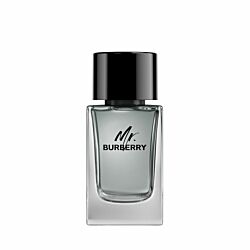 BURBERRY Mr. Burberry Eau de Toilette 100ml